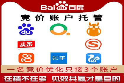 竞价代运营的转化率提升：某行业领先企业的秘诀